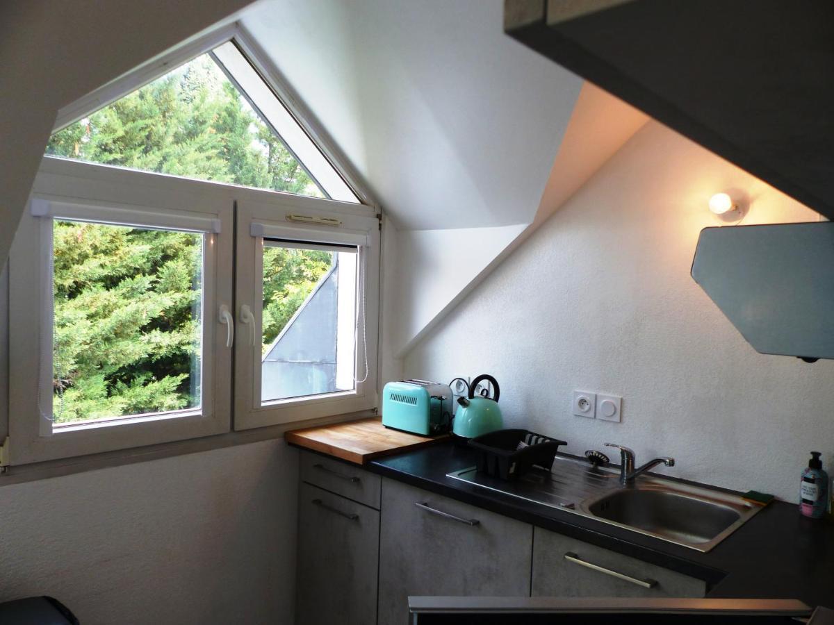 Magnifique T1 Bis Triangle D Or - Parking - Wifi Apartment Annecy Luaran gambar